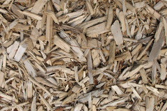 biomass boilers Healing